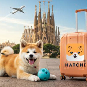 El bienestar animal se mueve con Hatchi: Conoce a Vicente Galiana y su proyecto de transporte seguro este sábado en Estepark El bienestar animal se mueve con Hatchi: Conoce a Vicente Galiana y su proyecto de transporte seguro este sábado en Estepark