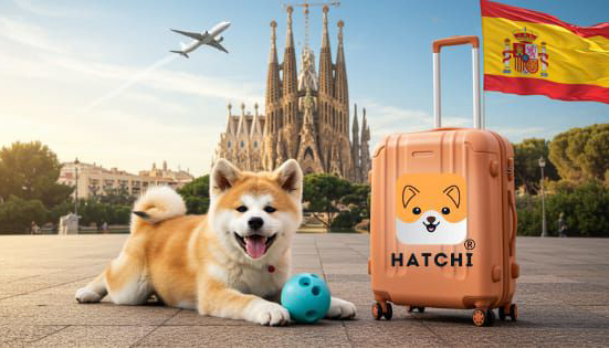 El bienestar animal se mueve con Hatchi: Conoce a Vicente Galiana y su proyecto de transporte seguro este sábado en Estepark