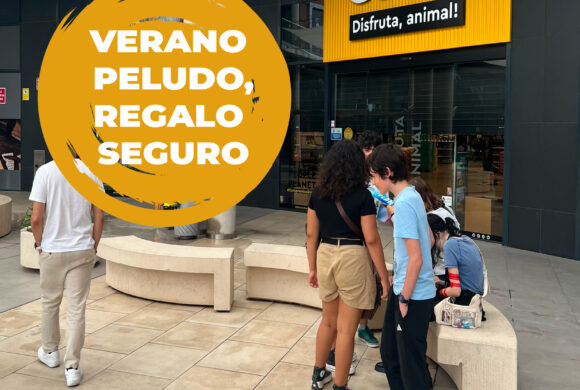 Premio seguro en Guaw Estepark